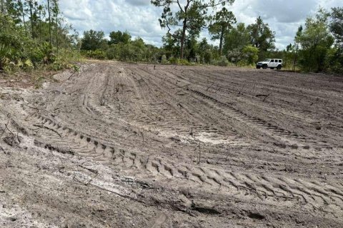Land in Avon Park, Florida № 2159047 - photo 2