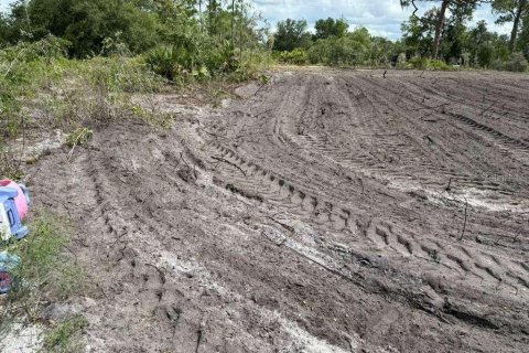 Land in Avon Park, Florida № 2159047 - photo 5