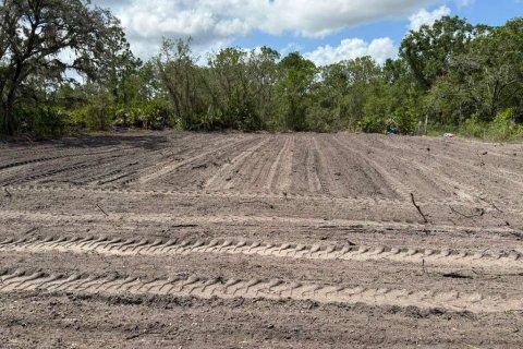 Land in Avon Park, Florida № 2159047