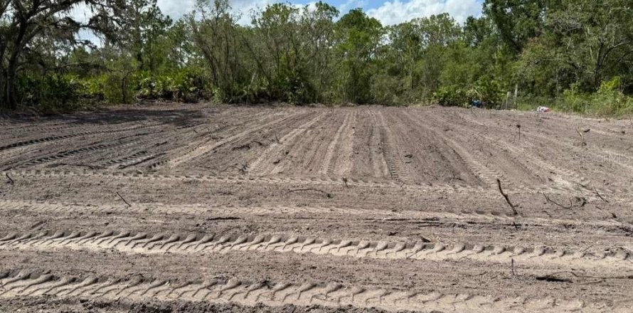 Land in Avon Park, Florida № 2159047