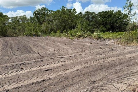 Land in Avon Park, Florida № 2159047 - photo 3