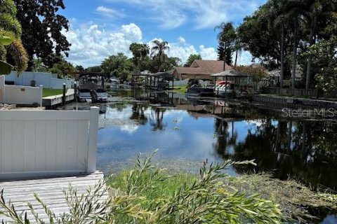 Villa ou maison à louer à Palm Harbor, Floride: 4 chambres, 150.32 m2 № 2418687 - photo 21