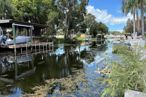 Villa ou maison à louer à Palm Harbor, Floride: 4 chambres, 150.32 m2 № 2418687 - photo 23