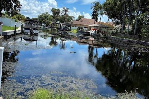 Villa ou maison à louer à Palm Harbor, Floride: 4 chambres, 150.32 m2 № 2418687 - photo 22