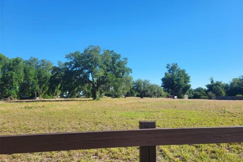 Land in Haines City, Florida № 1792660 - photo 3