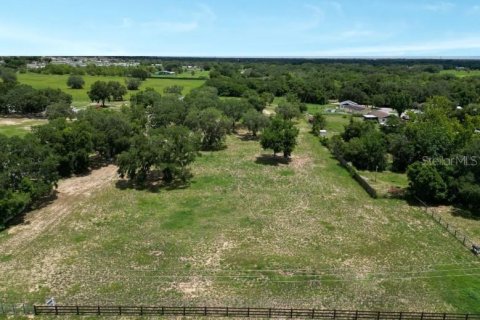 Land in Haines City, Florida № 1792660 - photo 1
