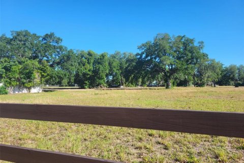 Land in Haines City, Florida № 1792660 - photo 5