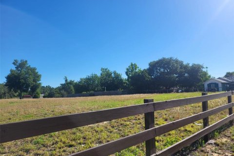 Land in Haines City, Florida № 1792660 - photo 4