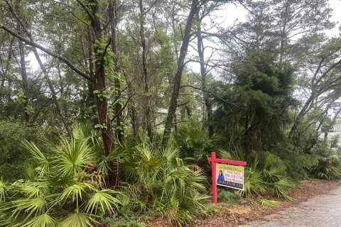 Terreno en venta en Santa Rosa Beach, Florida № 560926 - foto 1