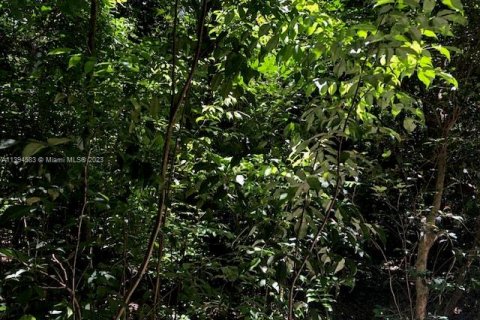 Коммерческая недвижимость в Халландейл-Бич, Флорида № 2034681