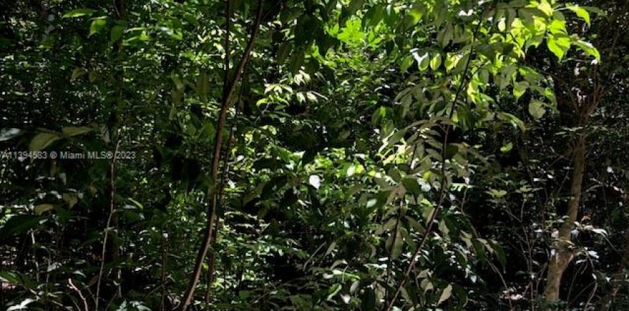 Коммерческая недвижимость в Халландейл-Бич, Флорида № 2034681