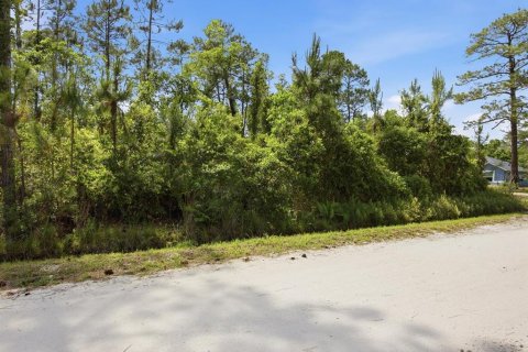 Terrain à vendre à DeLand, Floride № 2160789 - photo 6