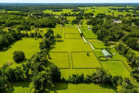 Terrain à vendre à Ocala, Floride № 2258626 - photo 6
