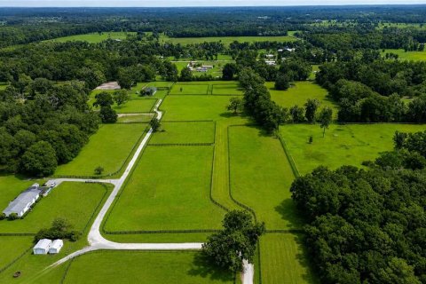 Terrain à vendre à Ocala, Floride № 2258626 - photo 4
