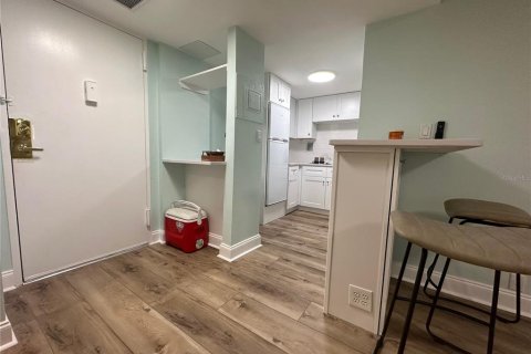 Снять в аренду кондоминиум в Клируотер, Флорида 44.13м2, № 1295252 - фото 6