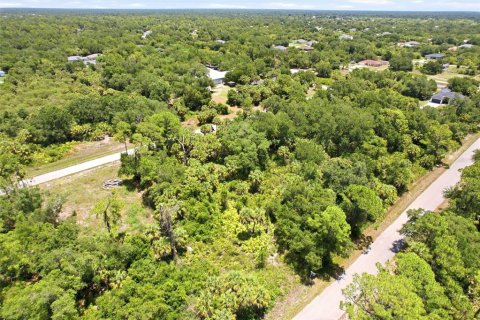 Land in Port Charlotte, Florida № 2161420 - photo 9