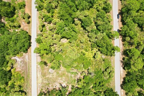 Land in Port Charlotte, Florida № 2161420 - photo 11