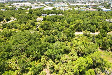 Land in Port Charlotte, Florida № 2161420 - photo 6