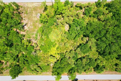 Land in Port Charlotte, Florida № 2161420 - photo 12