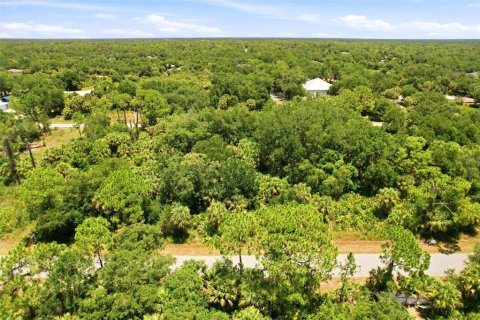Land in Port Charlotte, Florida № 2161420 - photo 4