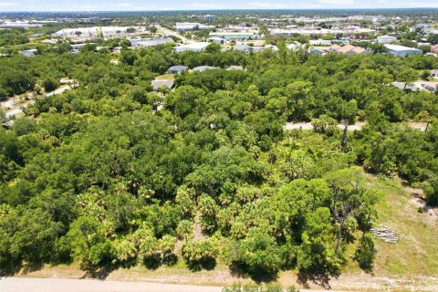 Land in Port Charlotte, Florida № 2161420 - photo 7