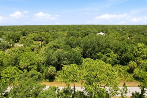 Land in Port Charlotte, Florida № 2161420 - photo 3