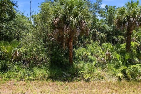 Land in Port Charlotte, Florida № 2161420 - photo 13