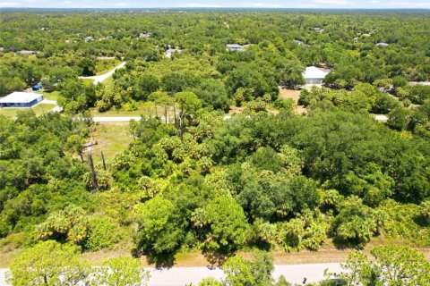 Land in Port Charlotte, Florida № 2161420 - photo 10