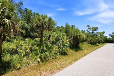 Land in Port Charlotte, Florida № 2161420