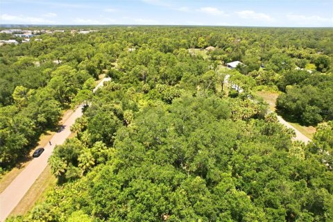 Land in Port Charlotte, Florida № 2161420 - photo 5