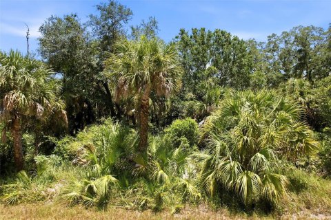 Land in Port Charlotte, Florida № 2161420 - photo 2