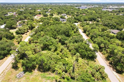 Land in Port Charlotte, Florida № 2161420 - photo 8