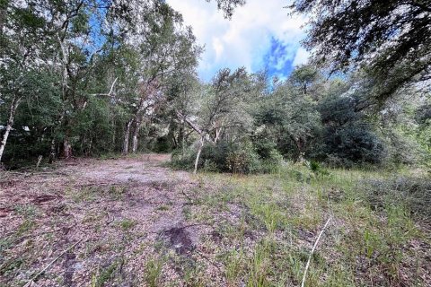 Terrain à vendre à Webster, Floride № 1873251 - photo 6