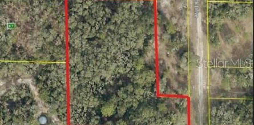 Land in Webster, Florida № 1873251