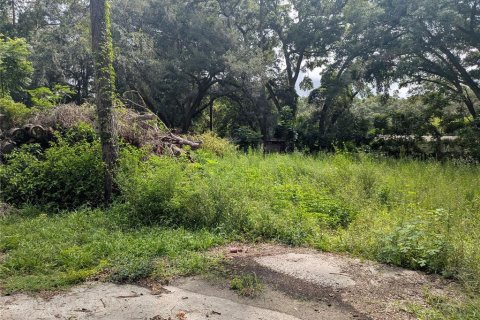 Land in Ocala, Florida № 2225804