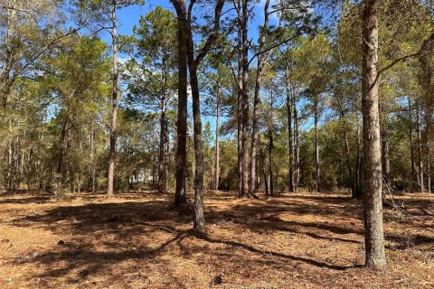 Terrain à vendre à Ocala, Floride № 2159762 - photo 6