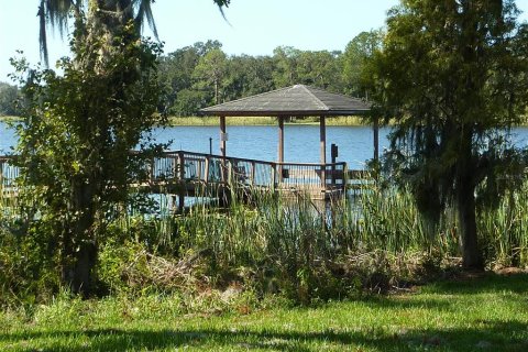 Land in Polk City, Florida № 1414767 - photo 13