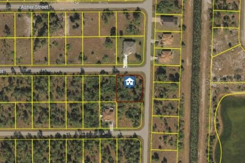Land in Lehigh Acres, Florida № 2162702