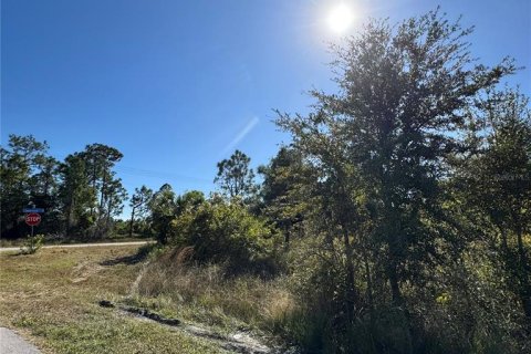 Land in Lehigh Acres, Florida № 2162702 - photo 6