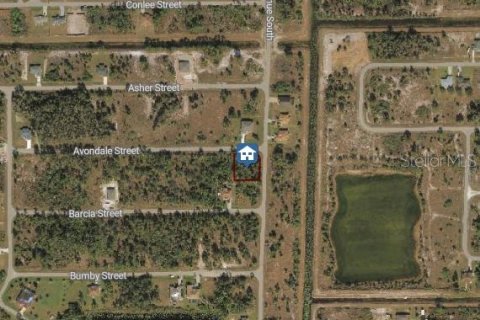 Land in Lehigh Acres, Florida № 2162702 - photo 8
