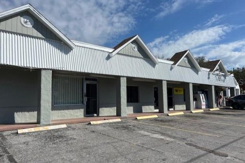 Propiedad comercial en alquiler en Thonotosassa, Florida, 541.25 m2 № 1580496 - foto 1