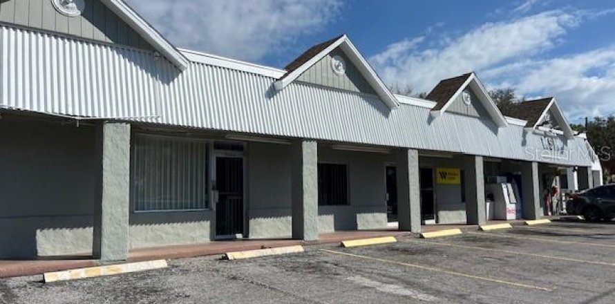 Propiedad comercial en Thonotosassa, Florida 541.25 m2 № 1580496