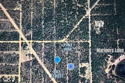 Land in Interlachen, Florida № 2164191 - photo 5
