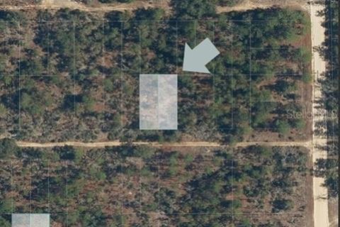 Land in Interlachen, Florida № 2164191 - photo 3