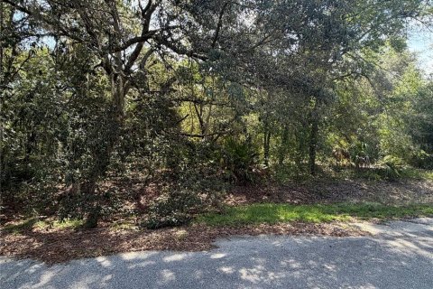 Terreno en Ocklawaha, Florida № 2203606