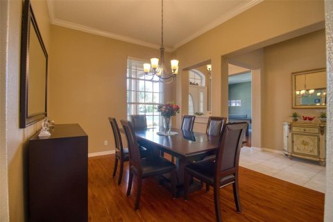 House in Dunedin, Florida 4 bedrooms, 235.23 sq.m. № 2396254 - photo 11
