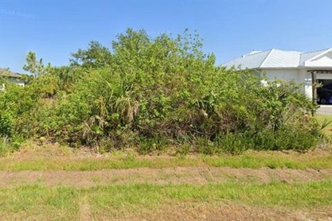 Land in Port Charlotte, Florida № 1826543 - photo 1