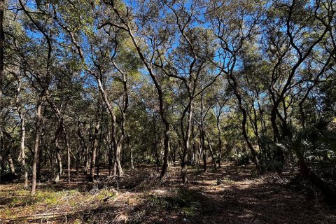 Land in Fort MC Coy, Florida № 1445982 - photo 2