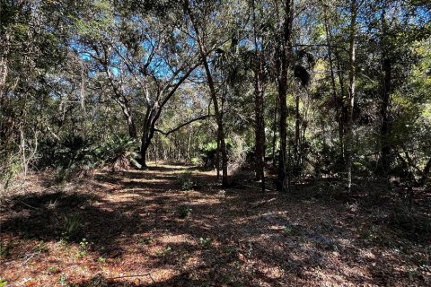 Land in Fort MC Coy, Florida № 1445982 - photo 3
