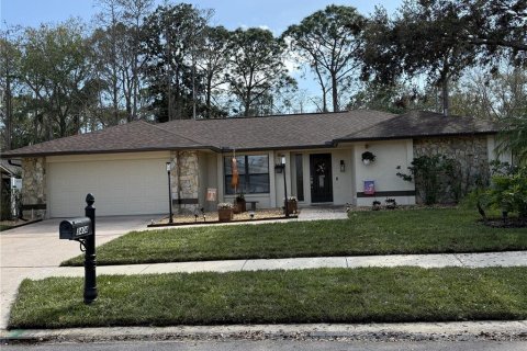 House in Palm Harbor, Florida 3 bedrooms, 227.33 sq.m. № 1847411 - photo 1